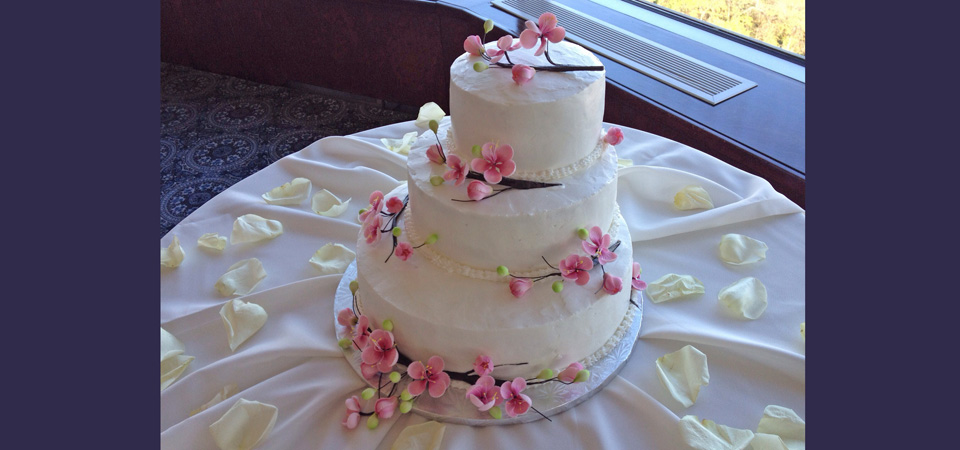 cake 20